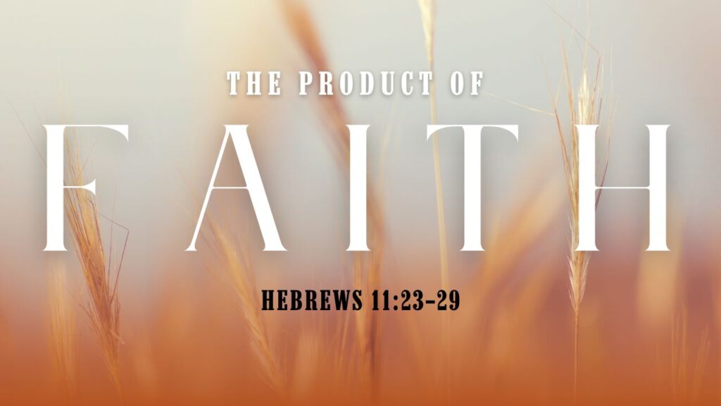 “The Product of Faith—Part 4”